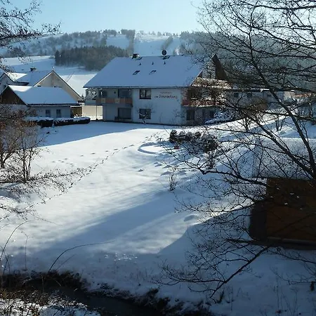 Am Sonnenhang * Willingen (Upland)