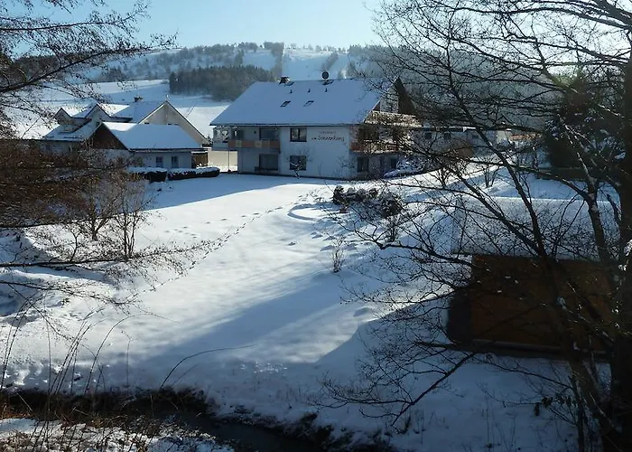 Am Sonnenhang * Willingen (Upland)